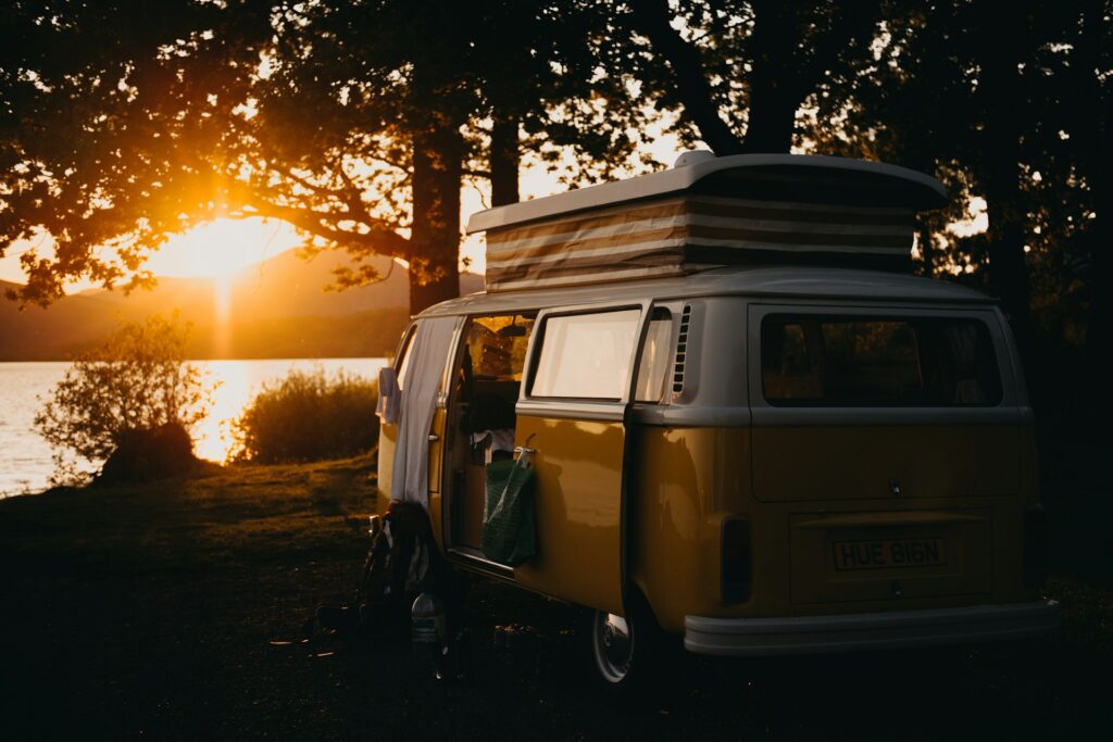 Wild Campers Wild Campers